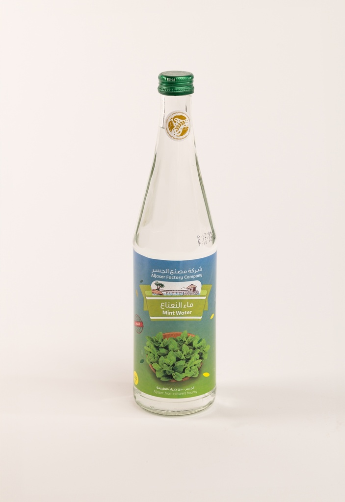 Mint Water 565ml